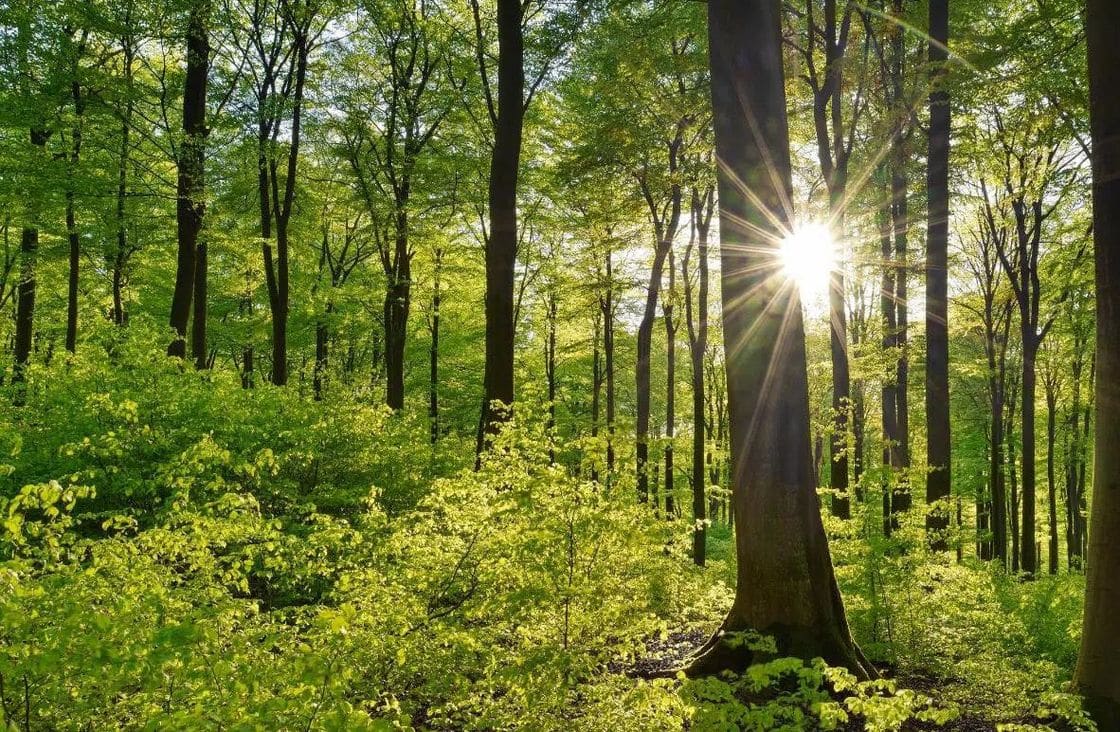 استخدام اللون – تعرف على 5 ألوان طورت من استخدام اللون عبر العصور